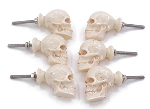 Roorkee Instruments 6 Nautical Twisted Decorative Skull Resin Doorknobs, Rustic Dresser Drawer Pull and Push, Furniture Handles/Knobs, Cabinets, Wardrobes, Cupboards, Drawer, Nautical Hardware DÃ©cor