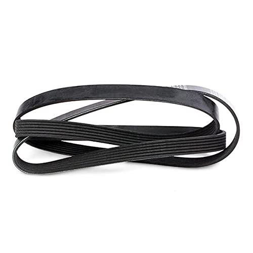 Meyle Cintura multi-V allentata