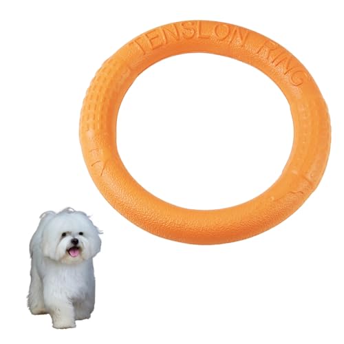 DIZLAS    O tXr[ ϋv v XgX ɕ (IW)