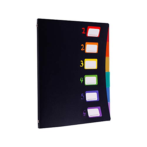 ドキュメントファイル A4 書類 分類 ファイルケース 持ち運び (6ポケット)