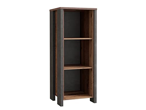 Forte Clif Regal, Holzwerkstoff, Old – Wood Vintage / Betonoptik Dunkelgru, B/H/T: 47 / 115,1 / 41,6 cm Forte Clif Regal, Holzwerkstoff, Old – Wood Vintage / Betonoptik Dunkelgru, B/H/T: 47 / 115,1 / 41,6 cm