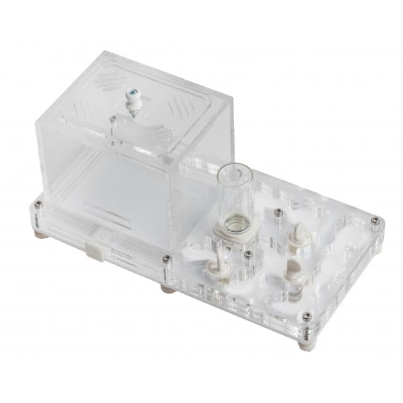 Kit Educativo de Hormigas Anthouse con Reina Incluida – Hormiguero Acrílico Profesional 10 x 20 x 1,3 cm para Niños y Principiantes | Granja de Hormigas para Observación y Aprendizaje (Transparente)