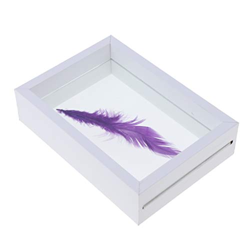 Preisvergleich Produktbild P Prettyia Massivholz Fotorahmen, Grafik Display Rahmen, Bilderrahmen Geschenke Für Pflanzenproben Insektenvertretung - Weiß 10x13,5x4cm, wie beschrieben