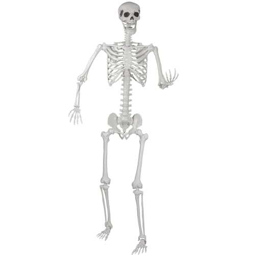 Halloween Skeleton Realistic Life Size Skeleton with Movable Joints for Halloween Party Haunted House Indoor Outdoor Decoration (5.9ft-1P)