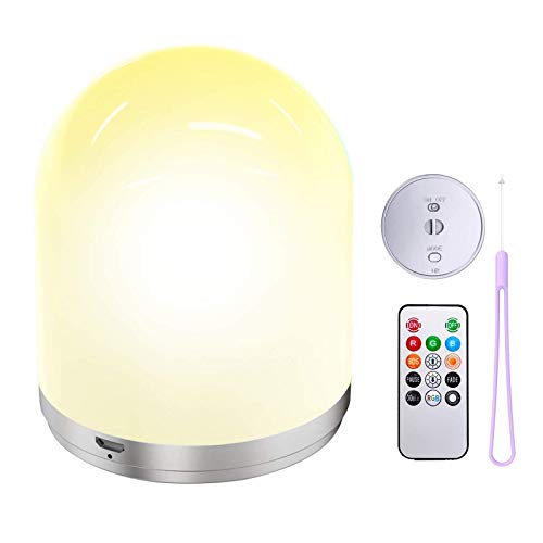 Hdiwousp RGB LED Light Rechargeable Night Light Lanyard Light Bedside Lamp, Bedroom Light/Camping Light with Remote Control, Variable Color Lamp with Warm White Light