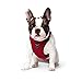 Canada Pooch Everything No Pull Dog Harness - Easy Walk Harness for Dogs with Breathable Mesh Exterior, Adjustable Dog Walking Harness Great for Dogs Red - Size XL