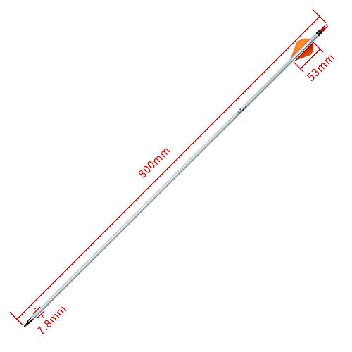 Huntingdoor 30 Inch Carbon Arrows Archery Target Practice With Field Points Fletched 400 Spine Shaft 2 Inch Vanes For Recurve Or Compound Bow 12 Pack #TOP5