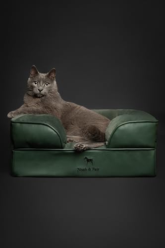 Image of NOAH & PAW Small Dog Bed, 20x15x8 Inch, Cat Bed for Indoor Cats, Orthopedic Eggshell Memory Foam Infused with Cooling Gel, Water Resistant Inner Cover Machine Washable (Faux Leather)