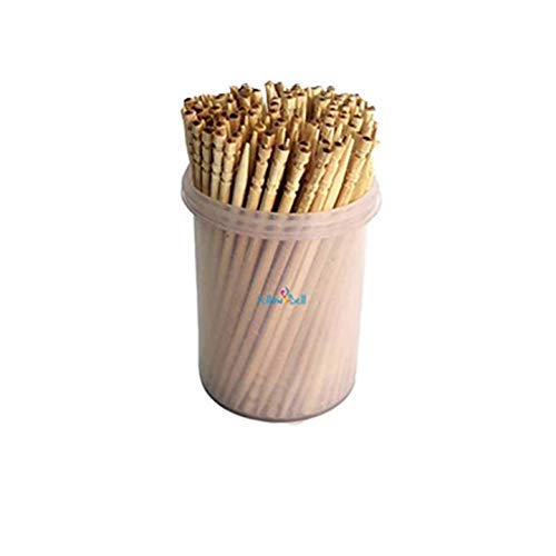 Buy Jaravik Wooden Toothpicks with Dispenser Box (250 Pieces) Online at