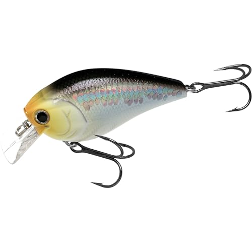 LUCKY CRAFT LC 2.5 Silent Crankbait Fishing Lures, 2-3/8” Squarebill Crankbait, Bass Lures, Floating 4ft Depth Hard Bait, Freshwater Fishing Gear, 424 MS Impulse Shad
