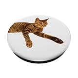 Zoom IMG-1 tigre come gatto popsockets popgrip
