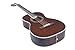 Washburn R310K Victorian Parlor Acoustic Guitar w/Gigbag, Antique Brown