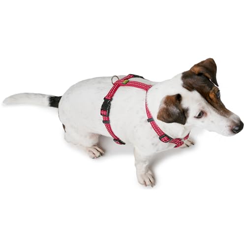 Geschirr Tripoli (Himbeer, XS-S)