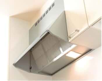 31gl7BNZjLL._AC_UF350,