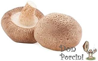 Shiitake Imperial Mushroom (Lentinula edodes) Mycelium Dried Seeds Spawn Shiitake Mushroom Spores (1 oz) by Don Porcini