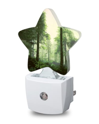 Image of Misty Forest Star Night Light Plug in, Soft Glow Night Light for Kids Bedroom Nursery, Gentle Warm Light for Sleep, Compact Lamp for Hallway Bathroom