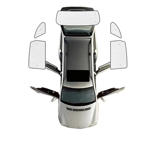 Pare-soleil fenêtre arrière Chevrolet Captiva protection rideau auto 2006-2018