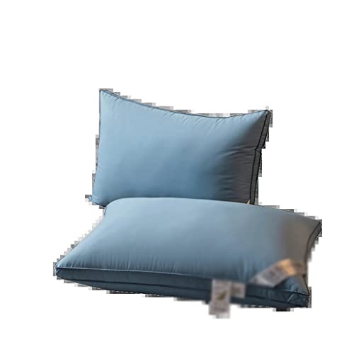Noyau d'oreiller en coton tridimensionnel pour le lit | Paire 60x60 cm