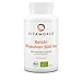 Produktbild 3er Pack Vita World Reishi Pulver Bio Qualität 500mg 3 x 120 Kapseln Vegan Apotheker-Herstellung Ling Zhi