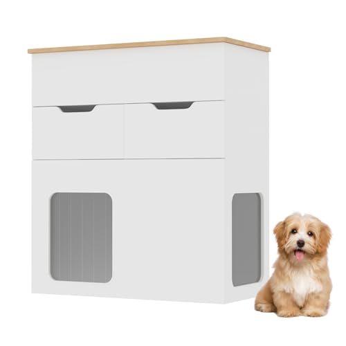 DiDuGo   ؐP[W hbOnEX ybgnEX L  P[W  ؐ Ƌ L nEX gC[ TCh{[h ^ ^ Uh~ ۉ C zCg  킢 k ybgpi CeA