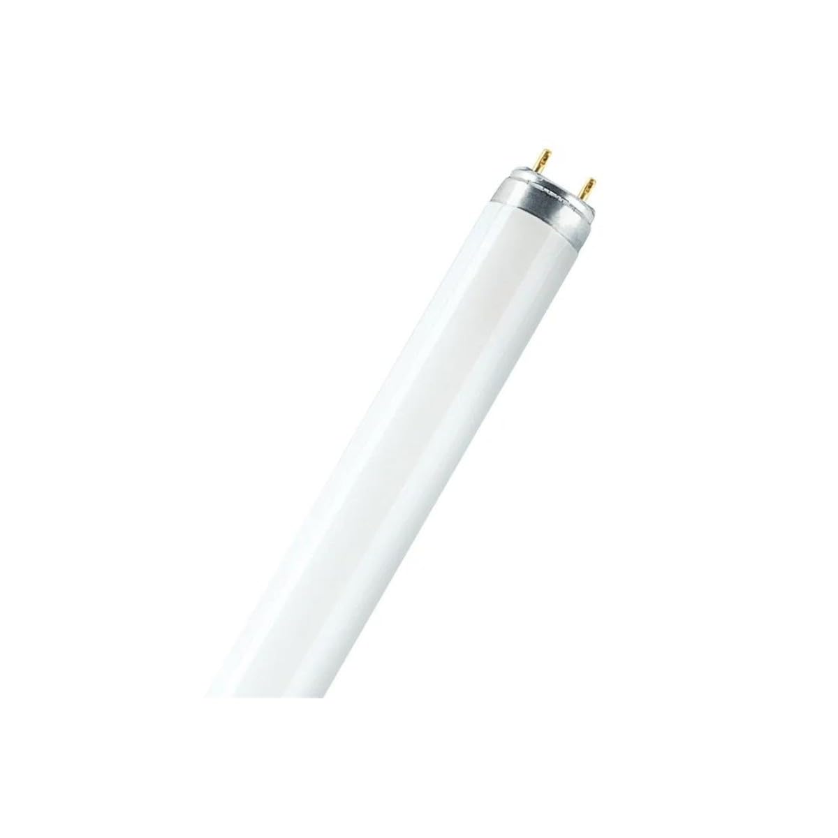 Lampada UV Luminosa BIANCA Fly-Tec Cattura Insetti Volanti + 6 Tavolette Collanti + 1 Neon Ricambio
