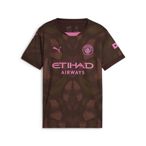 Image of Puma Youth Boys Manchester City 24/25 Goalkeeper Jersey - Brown 13-14Y