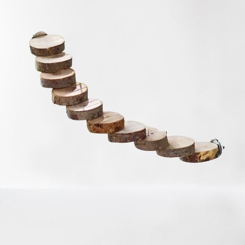 yVR؂̏v͂zArfandey ??pAbvEbhi_[ pP[WANZT[ pV p[`X^h ݂PA\ S݌v X nX^[Ή (10i͂)