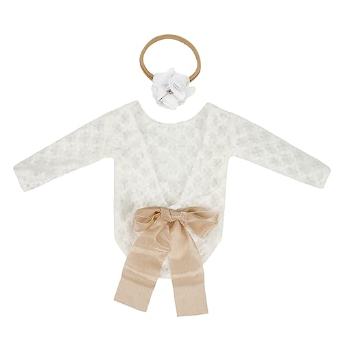 Ipetboom 1ZbgVptHgvbvX у[Xߑƃwbho