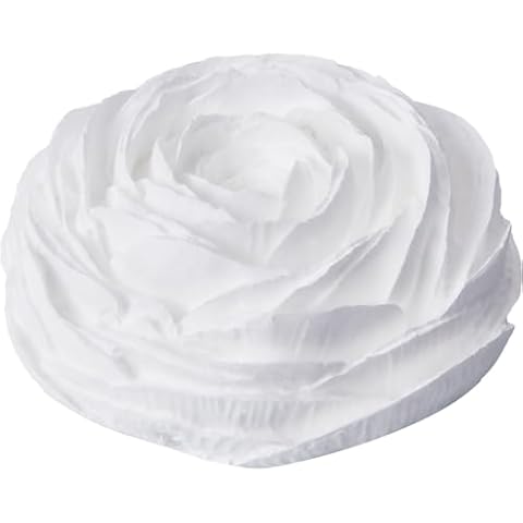 Diffuseur de Fleurs craspire Cover