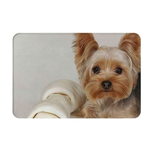 ���փ}�b�g�G�����[�N�V���e���A�����A�j�������}�b�g�z�������R�ۖh�L�o�X�}�b�g�z������~�ߖh�J�r�������L���o�X���[���L�b�`���l�G���p�J�[�y�b�g40×60cmzx191