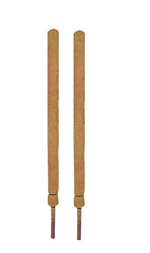 COIR GARDEN Coir Moss Stick 3.5 feet (106 cm) Length- 2 Pieces - Coco Pole - Moss Stick for Money Plants, Housing Plants, Outdoor Plants, Indoor Plants & Climbing Plants - Coir garden (B079SLPNQC) Amazon Price History, Amazon Price Tracker