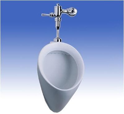 Compact Washout Urinal - ADA Compliant Finish: Cotton