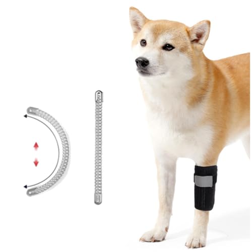 Nikkashop  T|[^[ TChol Op E ֐߃T|[^[ ^ ^ ^ ֐߃T|[^[ ֐߃veN^[ GT|[^[ ֐ߕی V pi (M)