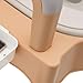 Bedside Commode, Portable Toilet Chair with Height Adjustable, Heavy Duty Adult Senior Bath Seat Bedside Commode, Portable Potty with Armrests & Tissue Holder, Floor Mount Commode Toilet for Home