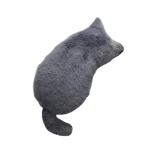 eʉMz_[j̎q̎qpyP[XfXNgbv[yʊwZItBXANZT[MP[XI[KiCU[