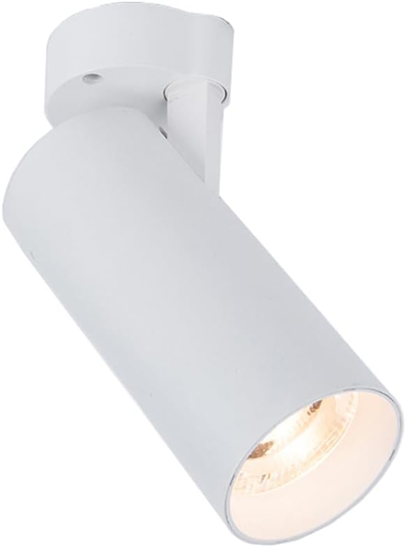 20W LED COB Ceiling Light,Surface Mount Downlight,Rotatable Lamp Head,Jewelry Picture Spotlight,Bedroom Ceiling Lamp Fixture,White Finish,4000K