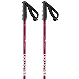 Salomon Kid's Brigade JR Ski Poles, Pink, 80