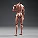 RoofWorld 1:6 Scale Nude Male Figure Body, Europe/Asian Skin Muscular Body Model Man Action Figure Fit 12Inch Doll Without Head Sculpt for Head with Neck (MX02-A)
