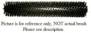 Cylindrical Brush - 24 Inch 80 Grit - Tennant - 385913
