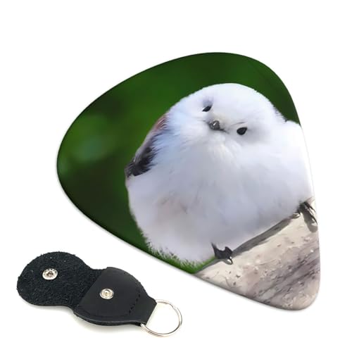 M^[sbN V}GiK  M^[ANZT[ 6Zbg x[X M^[p̃sbN X^CbV vNg y vX`bN [P[Xt ~ y ϋv gтɕ֗