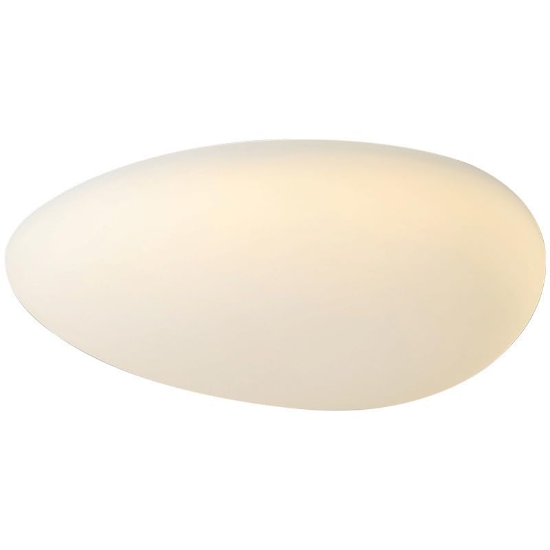 Plafonnier LED salon et chambre avec lumière 3 couleurs changeantes