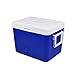 Eiskübel Lodówka do inkubatu, 27 l, do zabrania ze sobą, przenośna chłodziarka, świeże ryby, rozmiar 42,5 x 31 x 32 cm, XMJ (kolor niebieski)