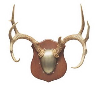 Kit de montage en bois de cerf Flambeau métal, cadeau idéal pour chasseur passionné
