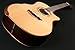 Washburn Comfort G25SCE Grand Auditorium Cutaway Acoustic Electric Guitar (WCG25SCE-O)
