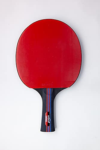 Spinco Carbon Pro Ping Pong Paddle Set Of 4 | 2 Layer Carbon Blade With 5 Ply Wood | Eight 3-Star Premium 40 + Abs Balls | Beautiful Storage Case. #TOP7