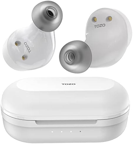 TOZO NC9 Hybrid Wireless Earbuds Active Noise Cancelling Headphones Bluetooth 5.0 Stereo in Ear Earphones, Immersive Sound Premium Deep Bass Built in 3 Mic Headset Brown