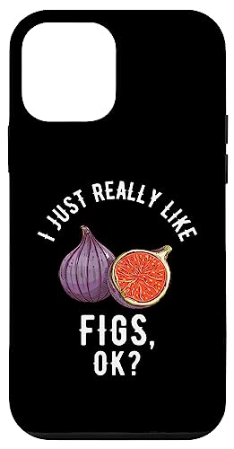 ͖{ɃC`WNDł? X}zP[X iPhone 12 mini p