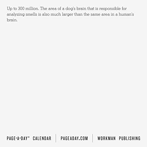 365 Days of Amazing Trivia! Page-A-Day Calendar 2021 - Image 5