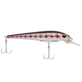 Berkley Hit Stick Fishing Lure, Rainbow Trout, 1/4 oz, 3 1/2in | 9cm Crankbaits, Largest Rolling Action of Any Berkley Hard Bait, Equipped with Sharp Fusion19 Hook