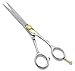 Professional Barber Razor Edge Hair Cutting and Thinning Shears